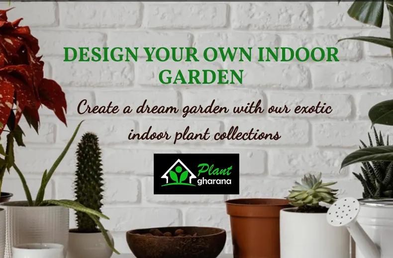 Plant Gharana Case Study